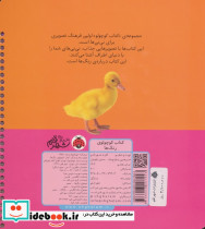 کتاب کوچولوی رنگ ها - تصویر 2