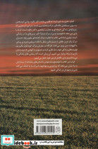 خیره به خورشید - تصویر 2