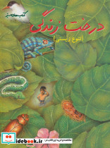 درخت زندگی