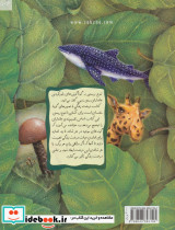 درخت زندگی - تصویر 2