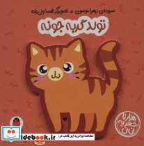 فومی تولد گربه جونه