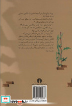 پوپک و پنجره - تصویر 2