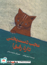 عجب دست پختی دارد رفیق