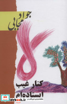 کنار غیب ایستاده ام