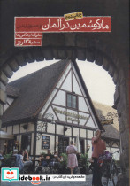 مارکو سمین در آلمان و سوئیس