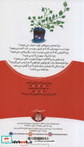 ماهی دختر - تصویر 2
