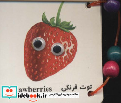 فلش کارت چشمی میوه ها