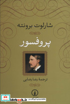 پروفسور نشر نی