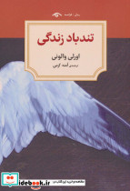 تندباد زندگی