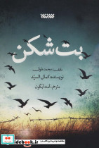 بت شکن