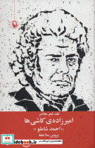 امیرزاده کاشی ها