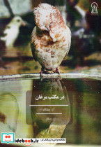 در مکتب مرغان