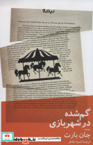 گمشده در شهر بازی 