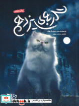 گربه سیزدهم