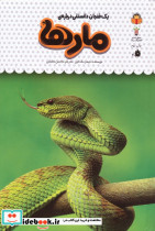 یک فنجان دانستنی درباره ی مار ها