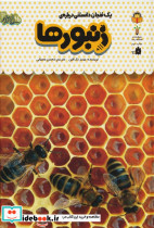 یک فنجان دانستنی درباره ی زنبورها