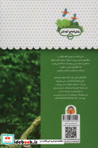 یک فنجان دانستنی درباره ی جنگل های بارانی - تصویر 2