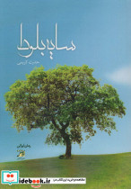 سایه بلوط