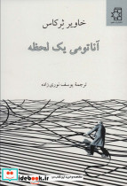 آناتومی یک لحظه