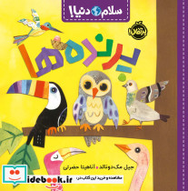 پرنده ها نشر پرتقال