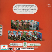 ماجراجویی های رایلی عملیات نجات دلفین ها - تصویر 2