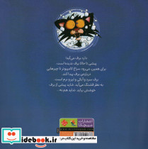 گربه خرابکار برف دوست ندارد - تصویر 2