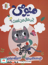 میومی چی مال من است؟