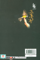 در آغوش نور - تصویر 2