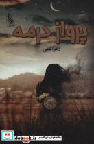 پرواز در مه