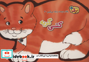 کتی گربه