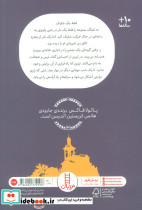 گربه ی یک چشم - تصویر 2