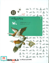 پرنده بی لانه