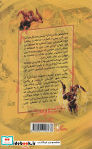 فلش - تصویر 2