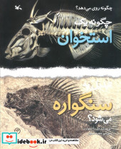 چگونه یک استخوان تبدیل به سنگواره می شود؟