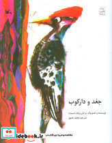 جغد و دارکوب نشر کانون پرورش فکری