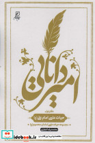 امیر دانایی