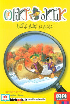 دزدی در آبشار نیاگارا