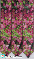 مجموعه نشانه کتاب بوک مارک کد N55 سه عددی