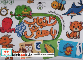 بسته کارت پازل جورچین آموزشی سنجاب باهوش 3 الفبای فارسی 35 عددی باجعبه