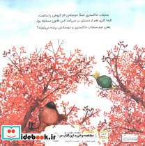 بلوط طلایی - تصویر 2
