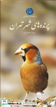 پرنده های شهر تهران