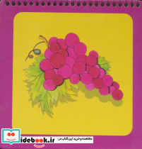 شناخت میوه ها نشر راز بارش - تصویر 2