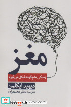 مغز زندگی ما چگونه شکل می گیرد