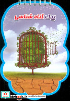 پیک گناه شناسی