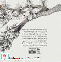 قصه ی دوستی نشر کانون پرورش فکری کودکان و نوجوانان - تصویر 2