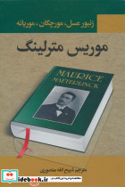 زنبور عسل مورچگان موریانه