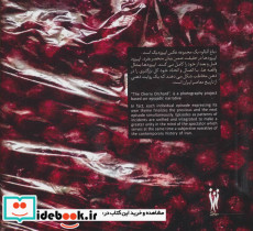 باغ آلبالو - تصویر 2