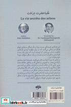 علیاحضرت درخت - تصویر 2
