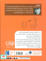 زوئلی چوب کبریت - تصویر 2