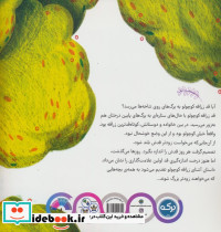 زرافه ی کوتاه قد - تصویر 2